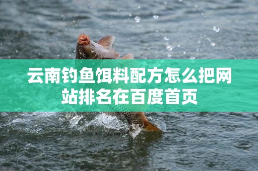 云南钓鱼饵料配方怎么把网站排名在百度首页