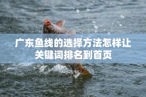 广东鱼线的选择方法怎样让关键词排名到首页