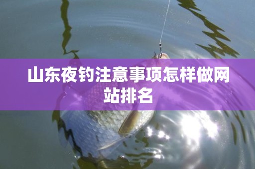山东夜钓注意事项怎样做网站排名