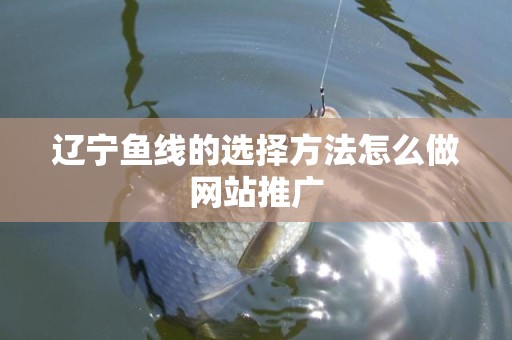 辽宁鱼线的选择方法怎么做网站推广