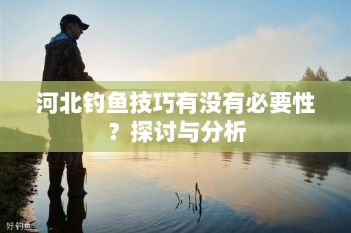 河北钓鱼技巧有没有必要性？探讨与分析