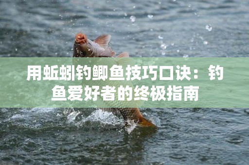 用蚯蚓钓鲫鱼技巧口诀：钓鱼爱好者的终极指南