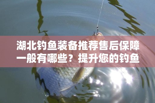 湖北钓鱼装备推荐售后保障一般有哪些？提升您的钓鱼体验