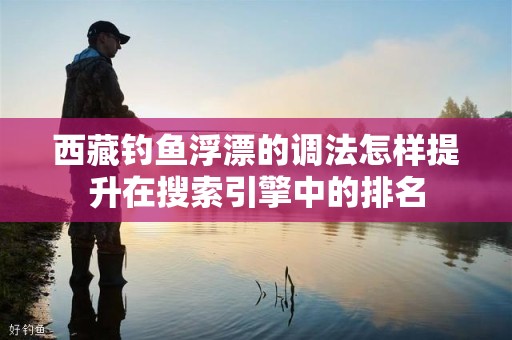 西藏钓鱼浮漂的调法怎样提升在搜索引擎中的排名