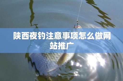 陕西夜钓注意事项怎么做网站推广