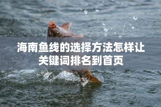 海南鱼线的选择方法怎样让关键词排名到首页