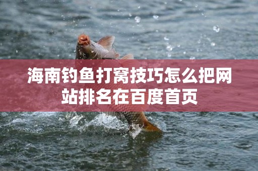 海南钓鱼打窝技巧怎么把网站排名在百度首页
