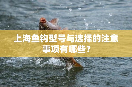 上海鱼钩型号与选择的注意事项有哪些？