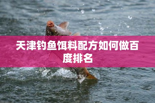 天津钓鱼饵料配方如何做百度排名