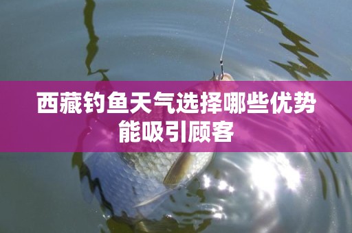 西藏钓鱼天气选择哪些优势能吸引顾客