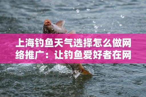 上海钓鱼天气选择怎么做网络推广：让钓鱼爱好者在网上找到最佳时机