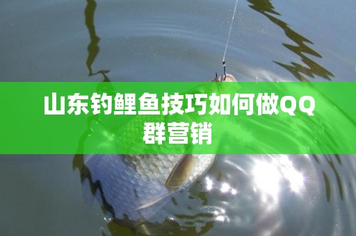 山东钓鲤鱼技巧如何做QQ群营销