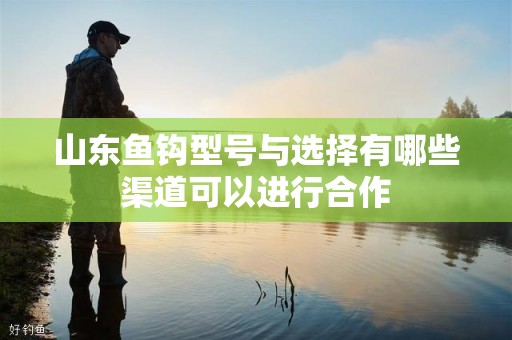 山东鱼钩型号与选择有哪些渠道可以进行合作