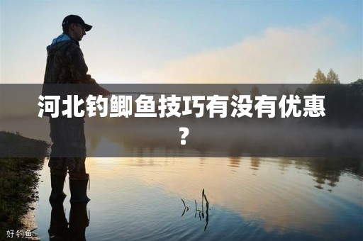 河北钓鲫鱼技巧有没有优惠？