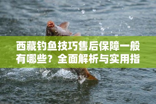 西藏钓鱼技巧售后保障一般有哪些？全面解析与实用指南
