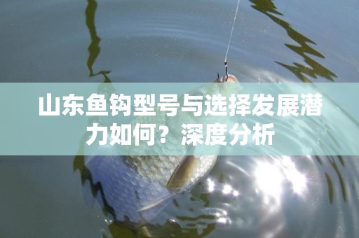 山东鱼钩型号与选择发展潜力如何？深度分析