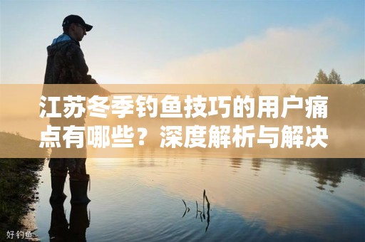 江苏冬季钓鱼技巧的用户痛点有哪些？深度解析与解决方案