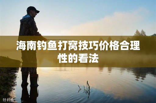 海南钓鱼打窝技巧价格合理性的看法