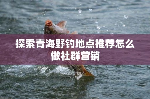 探索青海野钓地点推荐怎么做社群营销