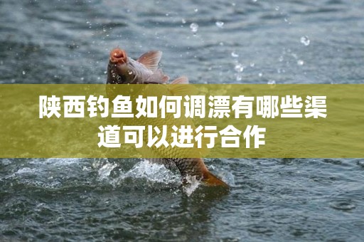 陕西钓鱼如何调漂有哪些渠道可以进行合作