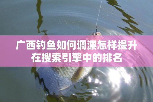 广西钓鱼如何调漂怎样提升在搜索引擎中的排名