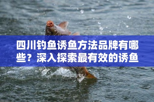 四川钓鱼诱鱼方法品牌有哪些？深入探索最有效的诱鱼产品