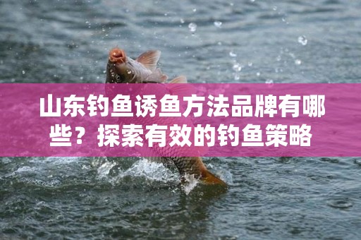 山东钓鱼诱鱼方法品牌有哪些？探索有效的钓鱼策略
