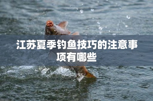 江苏夏季钓鱼技巧的注意事项有哪些