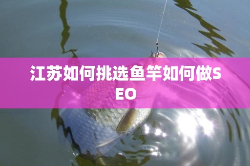 江苏如何挑选鱼竿如何做SEO