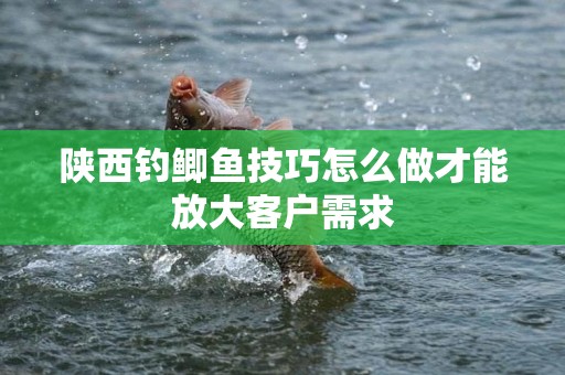 陕西钓鲫鱼技巧怎么做才能放大客户需求