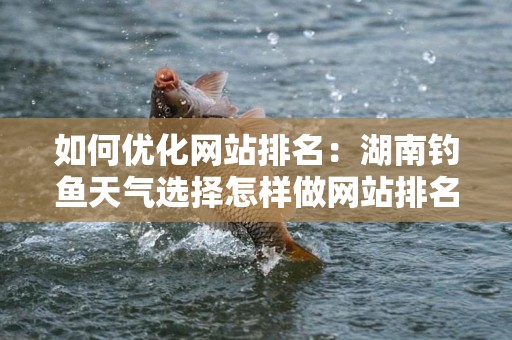 如何优化网站排名：湖南钓鱼天气选择怎样做网站排名