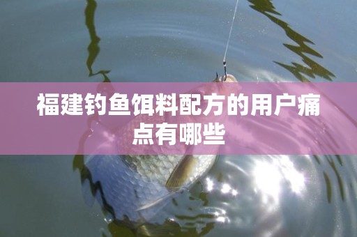 福建钓鱼饵料配方的用户痛点有哪些