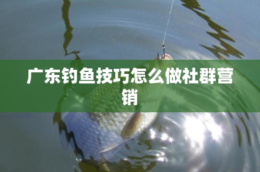 广东钓鱼技巧怎么做社群营销