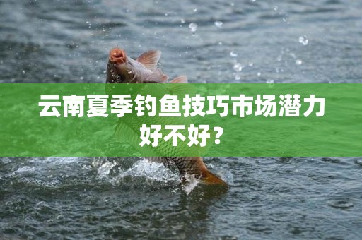云南夏季钓鱼技巧市场潜力好不好？