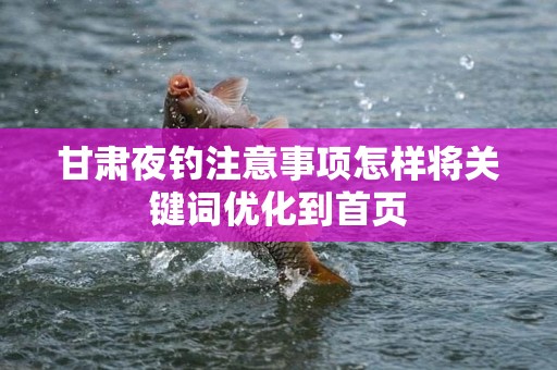 甘肃夜钓注意事项怎样将关键词优化到首页