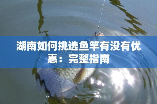 湖南如何挑选鱼竿有没有优惠：完整指南