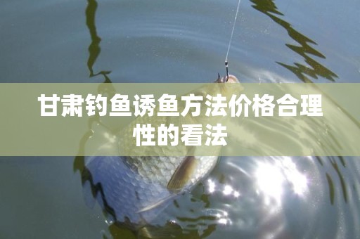 甘肃钓鱼诱鱼方法价格合理性的看法