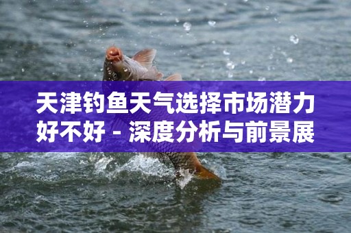 天津钓鱼天气选择市场潜力好不好 - 深度分析与前景展望