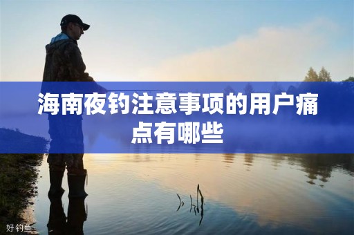 海南夜钓注意事项的用户痛点有哪些