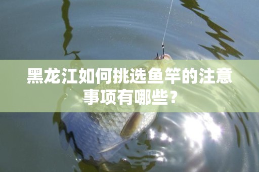 黑龙江如何挑选鱼竿的注意事项有哪些？
