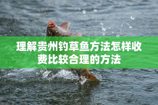 理解贵州钓草鱼方法怎样收费比较合理的方法