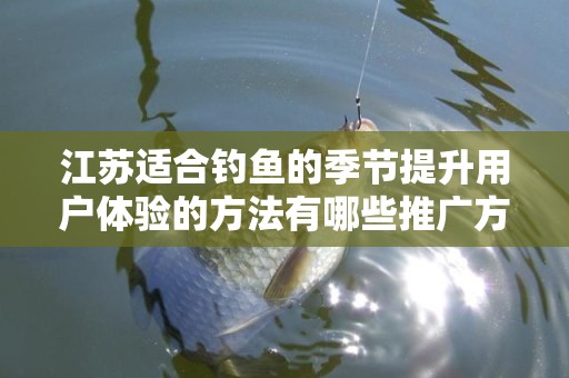 江苏适合钓鱼的季节提升用户体验的方法有哪些推广方式有哪些