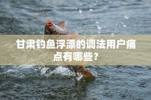 甘肃钓鱼浮漂的调法用户痛点有哪些？