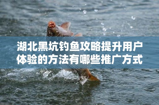 湖北黑坑钓鱼攻略提升用户体验的方法有哪些推广方式有哪些