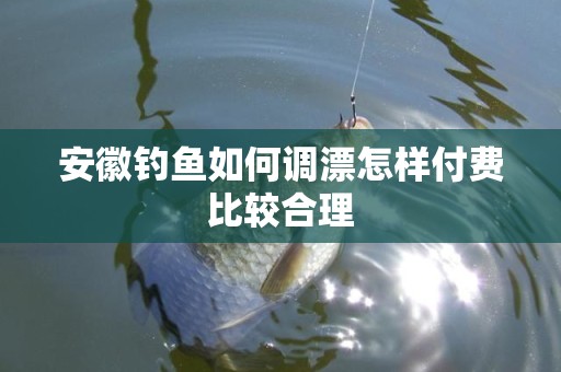 安徽钓鱼如何调漂怎样付费比较合理