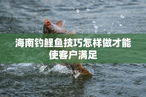 海南钓鲤鱼技巧怎样做才能使客户满足