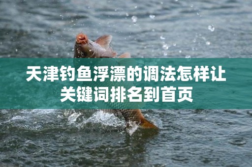 天津钓鱼浮漂的调法怎样让关键词排名到首页