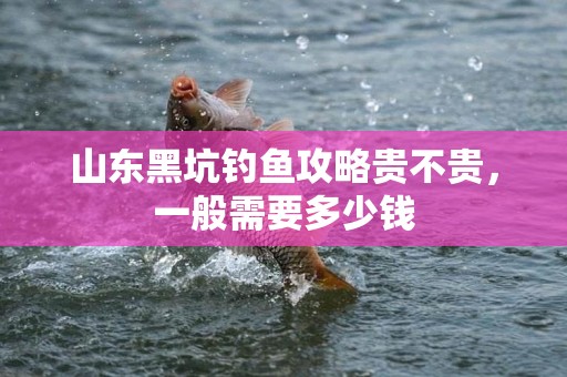 山东黑坑钓鱼攻略贵不贵，一般需要多少钱