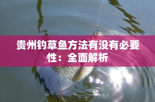 贵州钓草鱼方法有没有必要性：全面解析