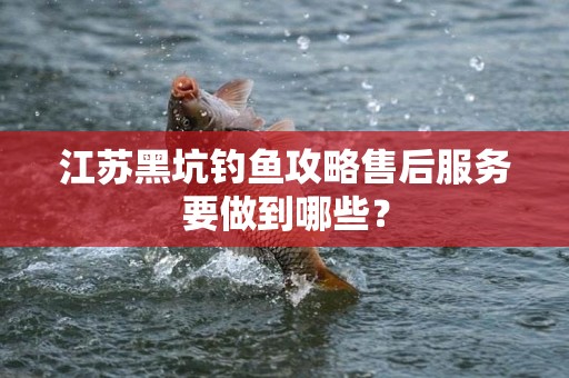 江苏黑坑钓鱼攻略售后服务要做到哪些？